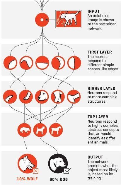 Neural Network Diagram